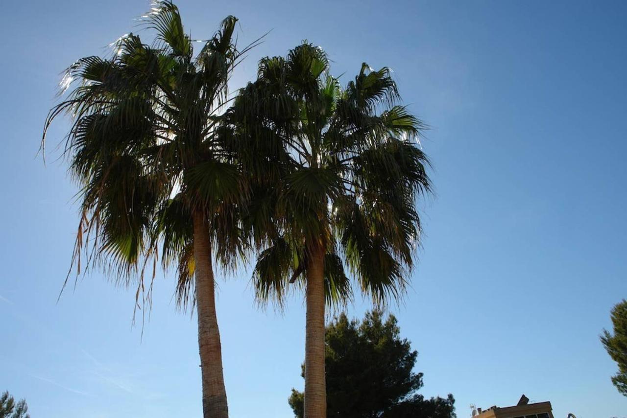 Havana Alcudia  Bagian luar foto